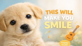 Este video es puro amor en versión animal 🐱💖 screenshot 1