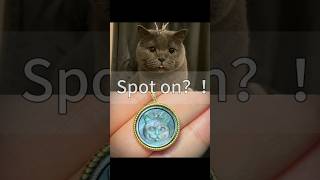 How I Engraved My Cat's Photo on Mother of Pearl to Make a Keepsake Necklace | DIY Jewelry Tutorial