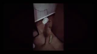 Боязнь кошек на огурцы. 😂😂😂 Очень смешно Боязнь кошек на огурцы. 😂😂😂 Очень смешно