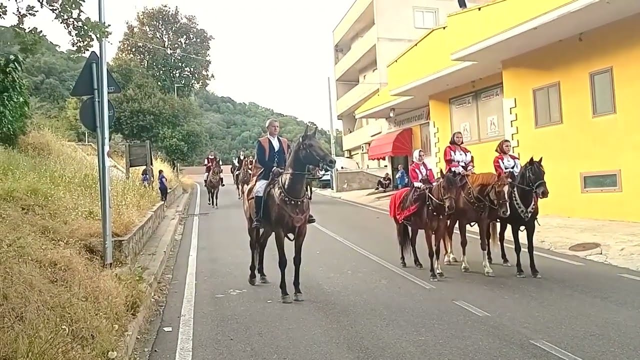 curittos solopados e  grillos  orune ..8 6 2024  by  b monni