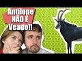 TODO MUNDO FAZ IDIOTICE! - Ep. 25