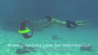 Diveboard Underwater Kelp Tour