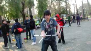 devil stick chile parque forestal