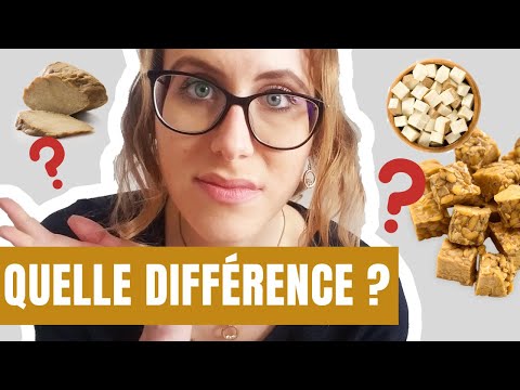 Vidéo: Différence Entre Le Tempeh Et Le Tofu