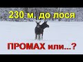 Охота НА ЛОСЯ. ПРОМАХ или ПОДРАНОК, стреляю на 230 метров...