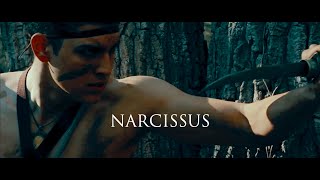 NARCISSUS - a class project