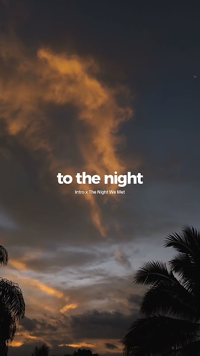 Intro x chorus the night we met #music #musica #indie #lyrics