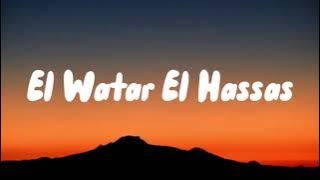 Sherine - El Watar El Hassas (Lyrics)