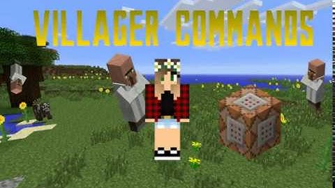 VILLAGER COMMANDS  | Custom Name, Trade, and More!