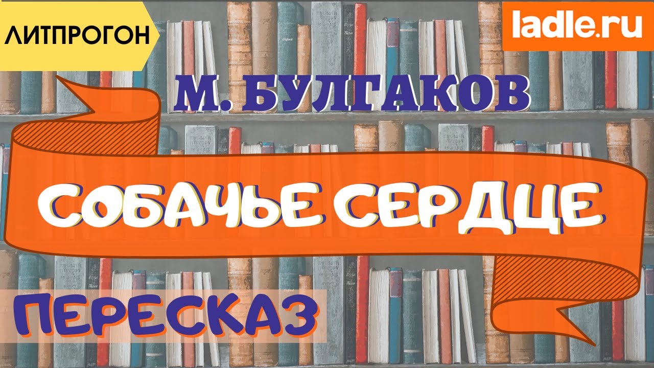 Чье сердце добрее? Что Булгаков хотел сказать? Краткий пересказ повести ...