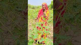 तपे तपे दिल मारो कालों पड़ गयो #marwadi #trending #marwadi #desi #kalchr#youtubeshorts