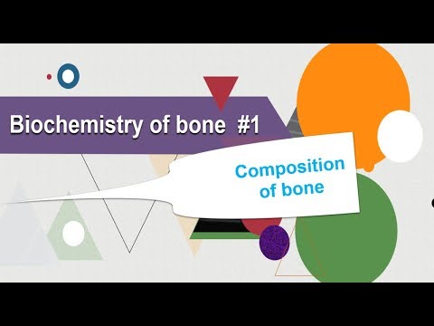 Biochemistry of bone: Composition of bone: Biochemistry