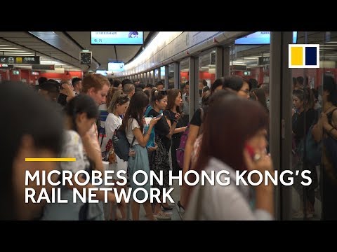Secrets of bacteria sharing your carriage on the MTR revealed