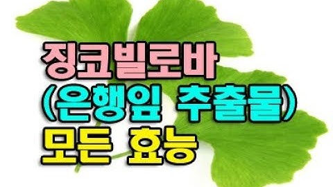 징코빌로바(은행잎 추출물)의 효능