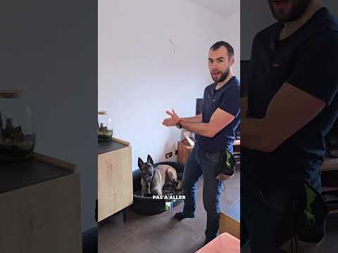 Aller au panier et savoir y rester sont deux choses totalement différentes