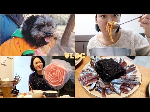[VLOG] 나의 31번째 서프라이즈 생일 | 포항에서 4박 5일동안 내가 먹은것들(과메기, 물회 등등)😊