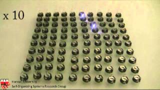 Kilobot firefly-based synchronization