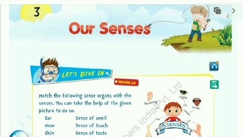 Grade 4 : Chapter 3 Our Senses (L2)