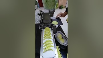 煎饺机饺子机、dumpling machine, gyoza making machine