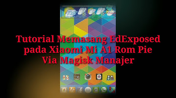 Tutorial Memasang EdXposed pada Xiaomi Mi A1 Stock Rom Android Pie