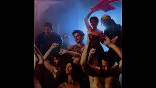 Zimmer - Dani (feat . The Undercover Dream Lovers)