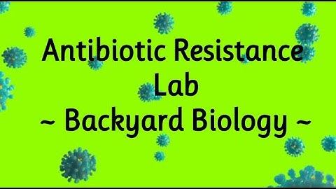 Antibiotic Resistance Lab