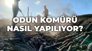 Odun Kömürü Nasıl Yapılıyor? En İyi Kömür Hangisi?