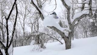 Christian Haller presents MIYAGO | TransWorld SNOWboarding
