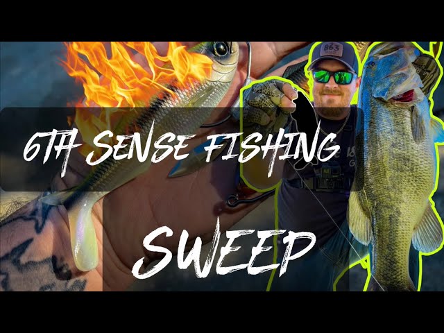 fishing with the NEW 6th sense Fishing 🔥 SWEEP 🔥 swimbait 