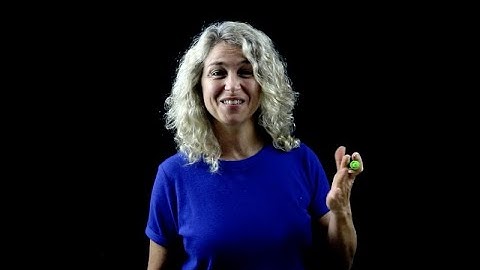 4th Grade Math Prime and Composite Numbers 4.OA.B.4.