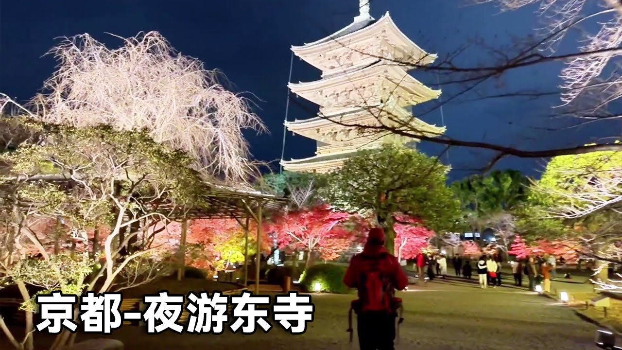 夜游京都东寺!这里是世界文化遗产,距今已有一千多年的历史不虚此行!【行走世界的北京老刘】 - YouTube
