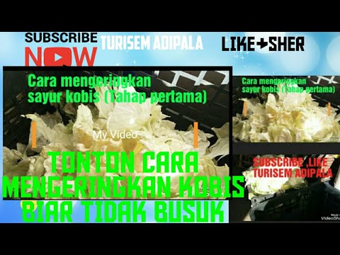 Video: Cara Mengeringkan Kubis