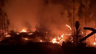 Wildfires are burning through Louisiana amid the hottest summer on record