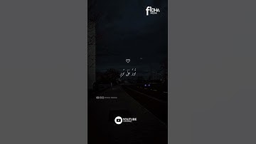 🎧❤️الله نور السماوات والأرض القارئ ماهر المعيقلي اكتب شيء تؤجر عليه
