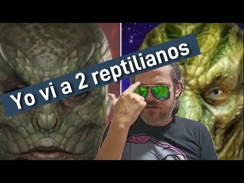 Yo vi a 2 Reptilianos