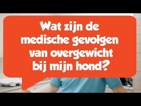 Video: De Longen En Obesitas Van Uw Huisdier