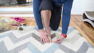 Isometric Great Toe Abduction