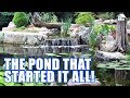 THE POND THAT STARTED IT ALL! : Greg Wittstock, The Pond Guy