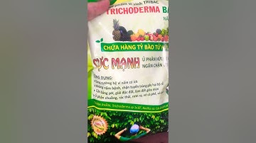 Nấm đối kháng Trichoderma Bacillus Cực Mạnh | VƯỜN SINH THÁI