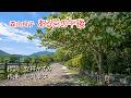 森山良子 ある日の午後 AI画像(高画質) 1080P