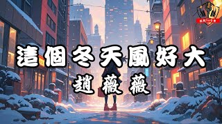 趙薇薇 - 這個冬天風好大『這個冬天風好大心好疼 吹散了誓言吹散了回憶』【動態歌詞Lyrics】