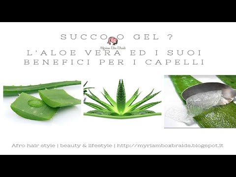 benefici aloe vera capelli