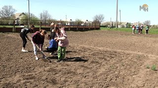 «Сади Перемоги»: у Жашківській громаді активно працюють над продовольчим забезпеченням (ВІДЕО)