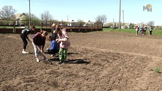 «Сади Перемоги»: у Жашківській громаді активно працюють над продовольчим забезпеченням (ВІДЕО)
