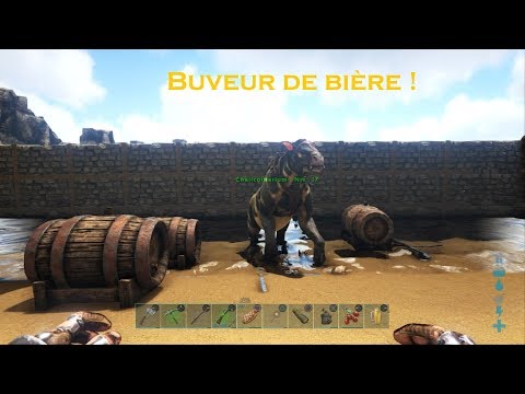 Vidéo: Guide du buveur de bière au Pérou