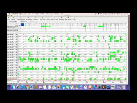 How to work with CodonCode  aligner for  genome sequence  assembly