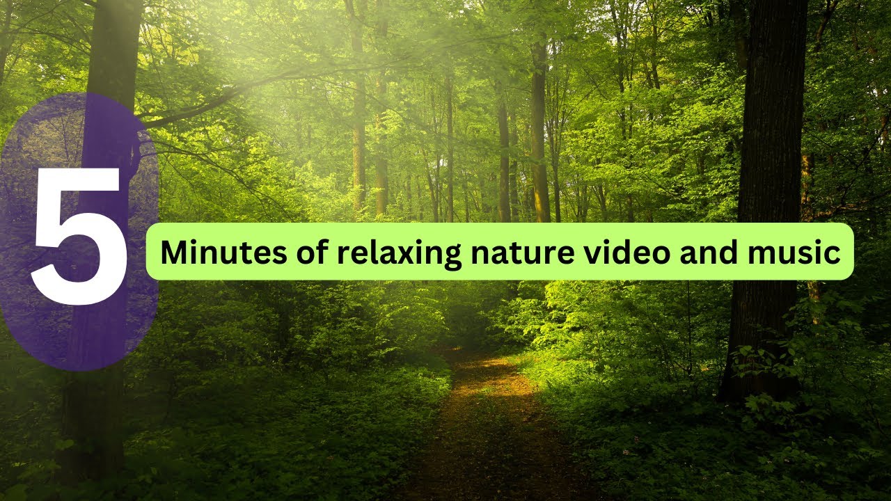 5 Minutes of relaxing music with beautiful nature #nature #music # ...