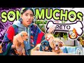 24 HORAS CUIDANDO CACHORROS KAREN  | LOS POLINESIOS RETO