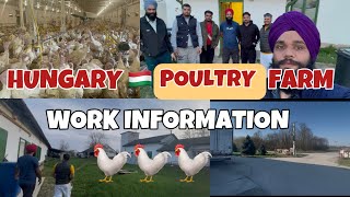 Hungary 🇭🇺poultry farm work salary full information @Parmhungary 