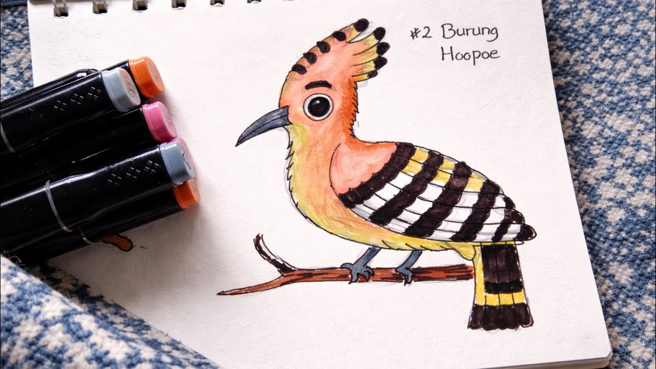 How to Draw a Hoopoe Bird Step by Step | Easy & Cute Bird Drawing Tutorial #2